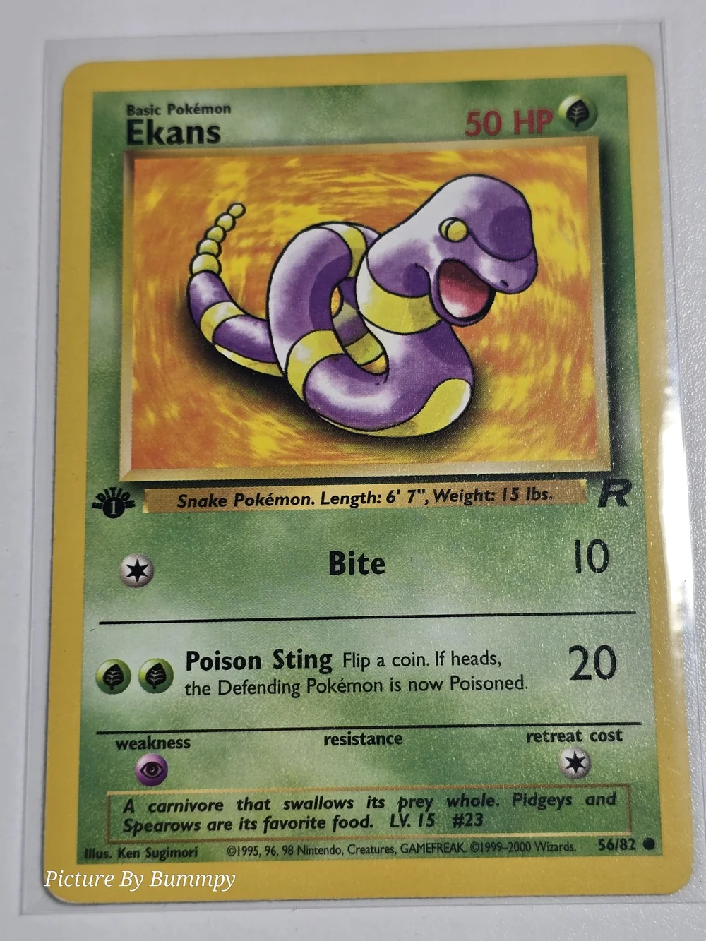#13 Pokemon 1st Edition Ekans card from the 2000 Team Rocket expansion, #56/82.