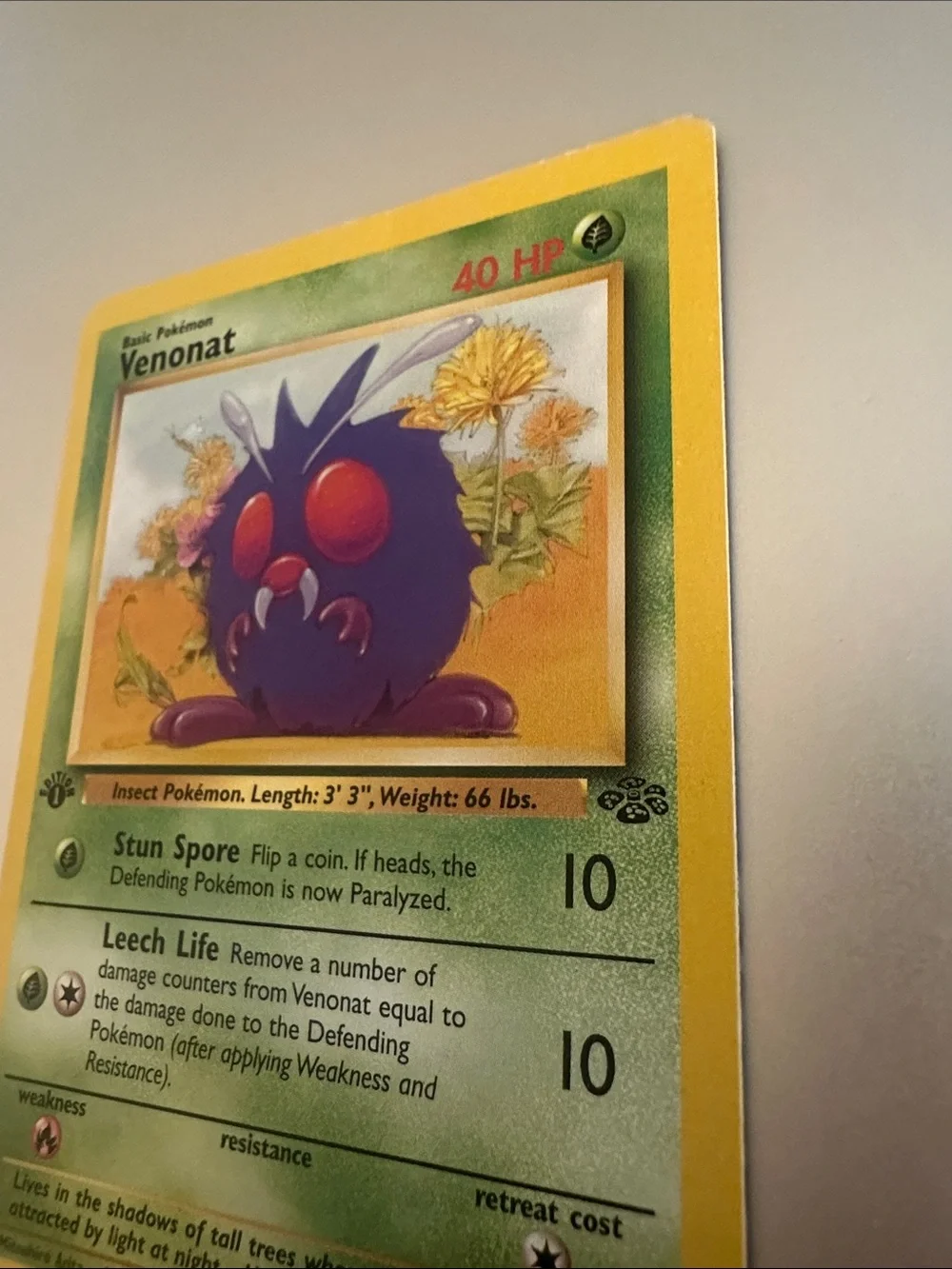 Pokemon this 1st