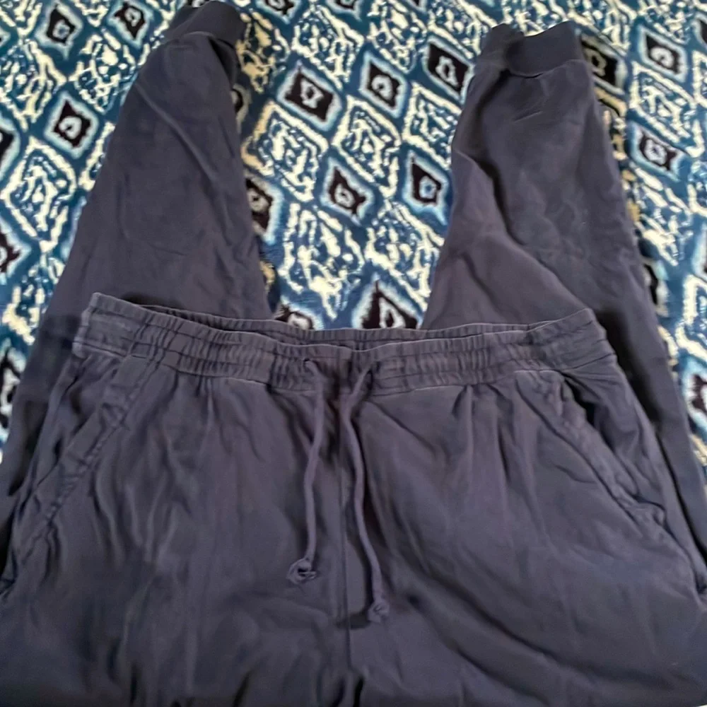 J Crew Navy Blue Jogger Pants