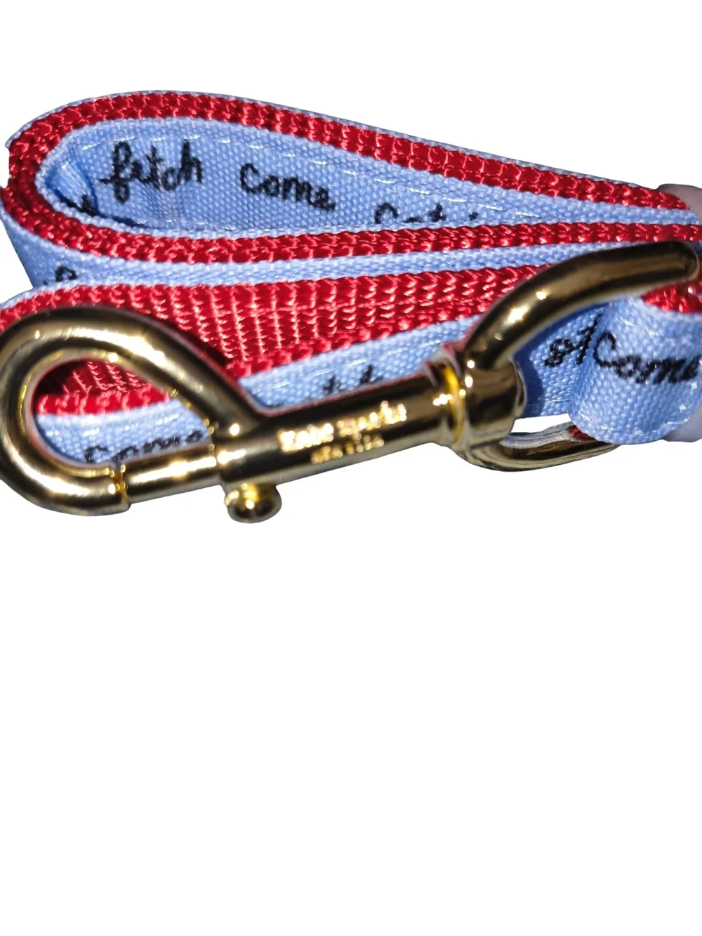 Kate Spade New York 4.5ft Dog Leash, Heavy Duty for Female or Male Dogs