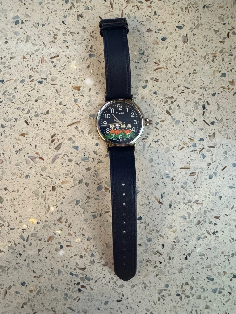 Timex watch navy