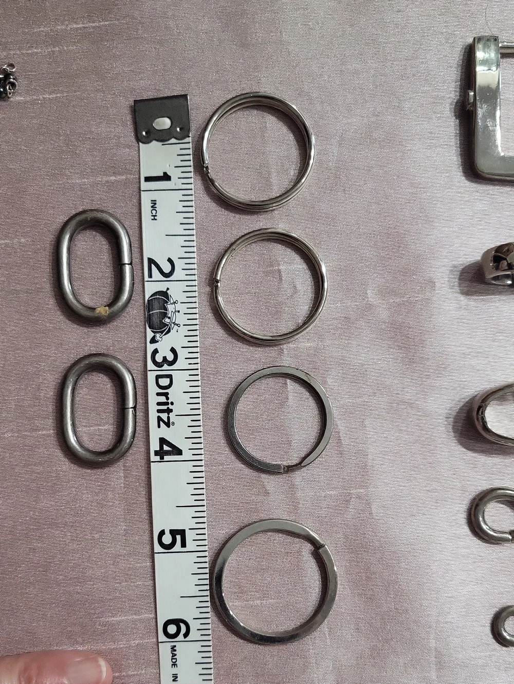 N/A assorted bucklea