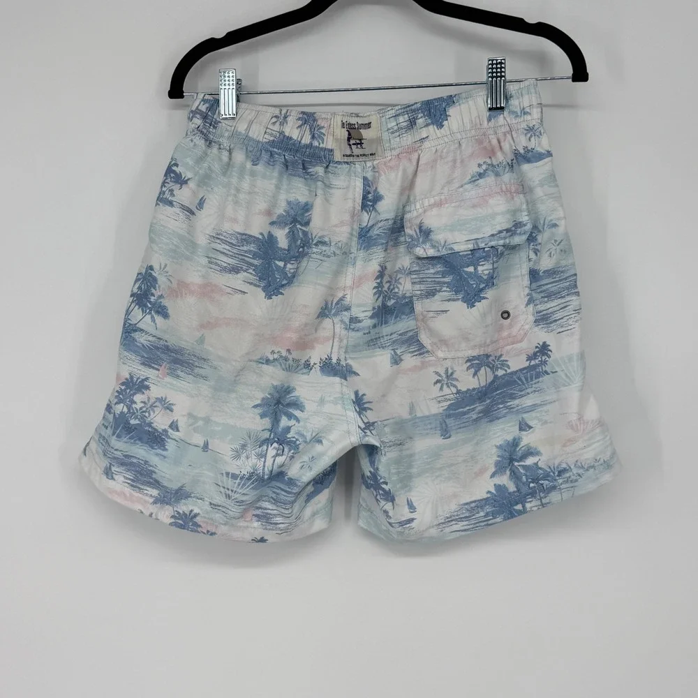 The Endless Summer ocean no