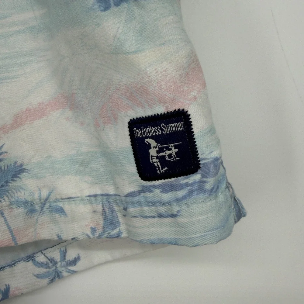 The Endless Summer no 11″ color