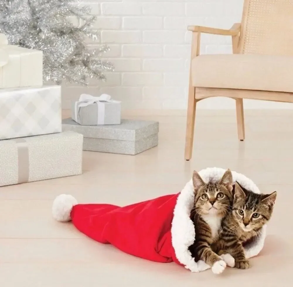 Wondershop Crinkle Cat Tunnel Large Santa Hat Bag Plush Toy Christmas 23” x 15”