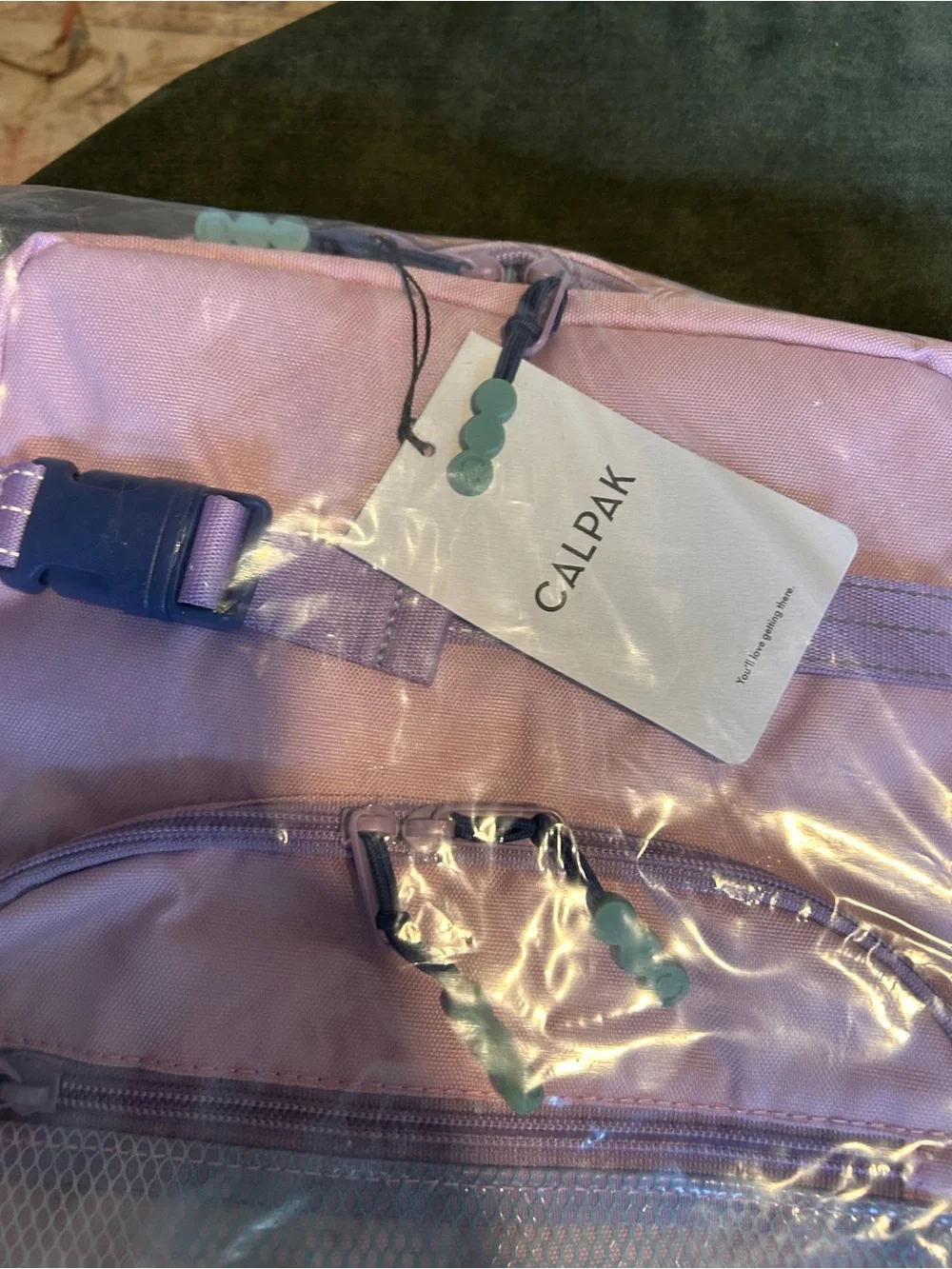 Calpak compact backpack