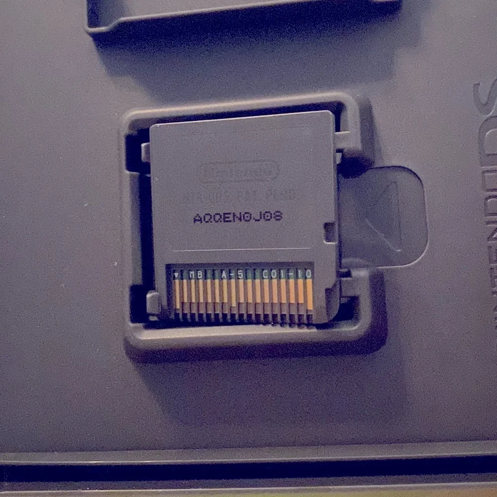 Nintendo ds game
