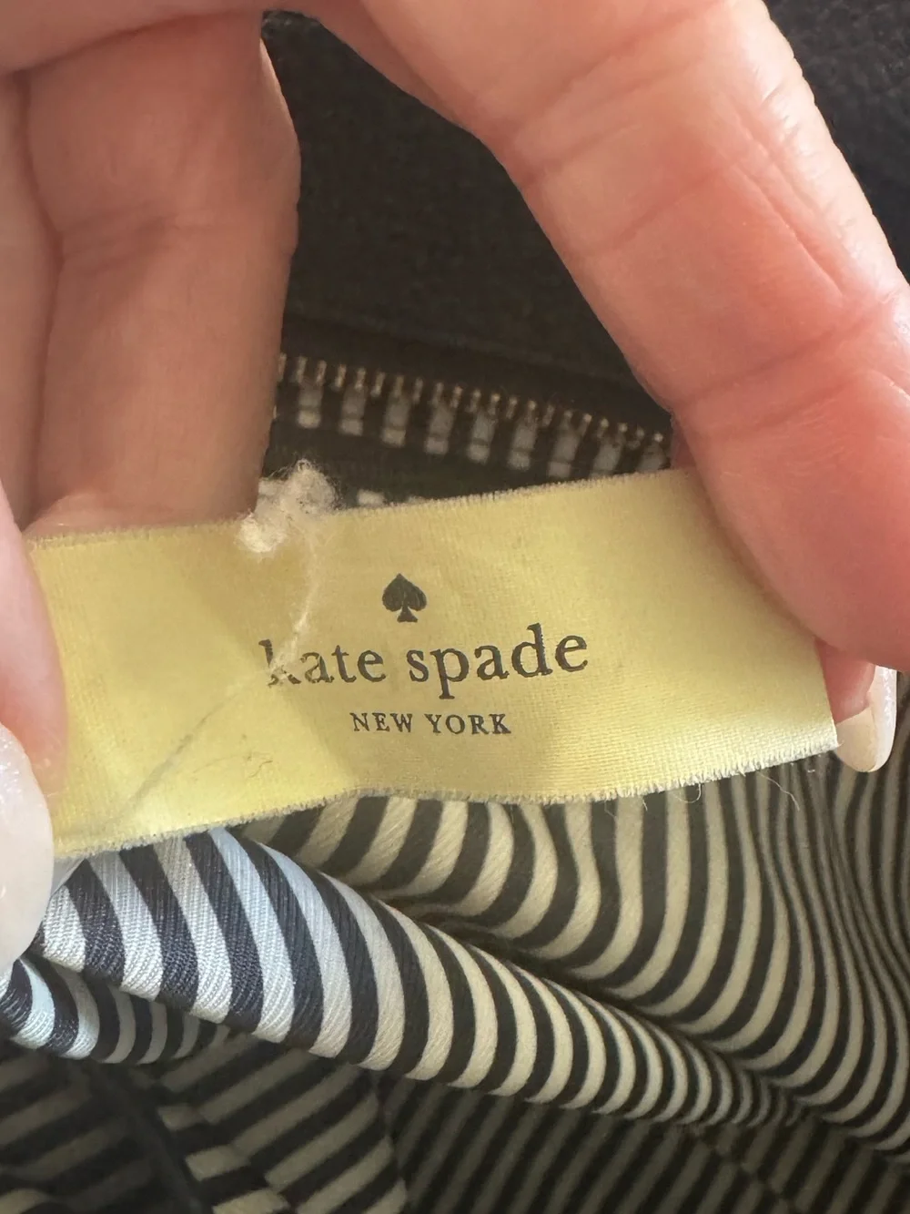 kate spade spacious scalloped