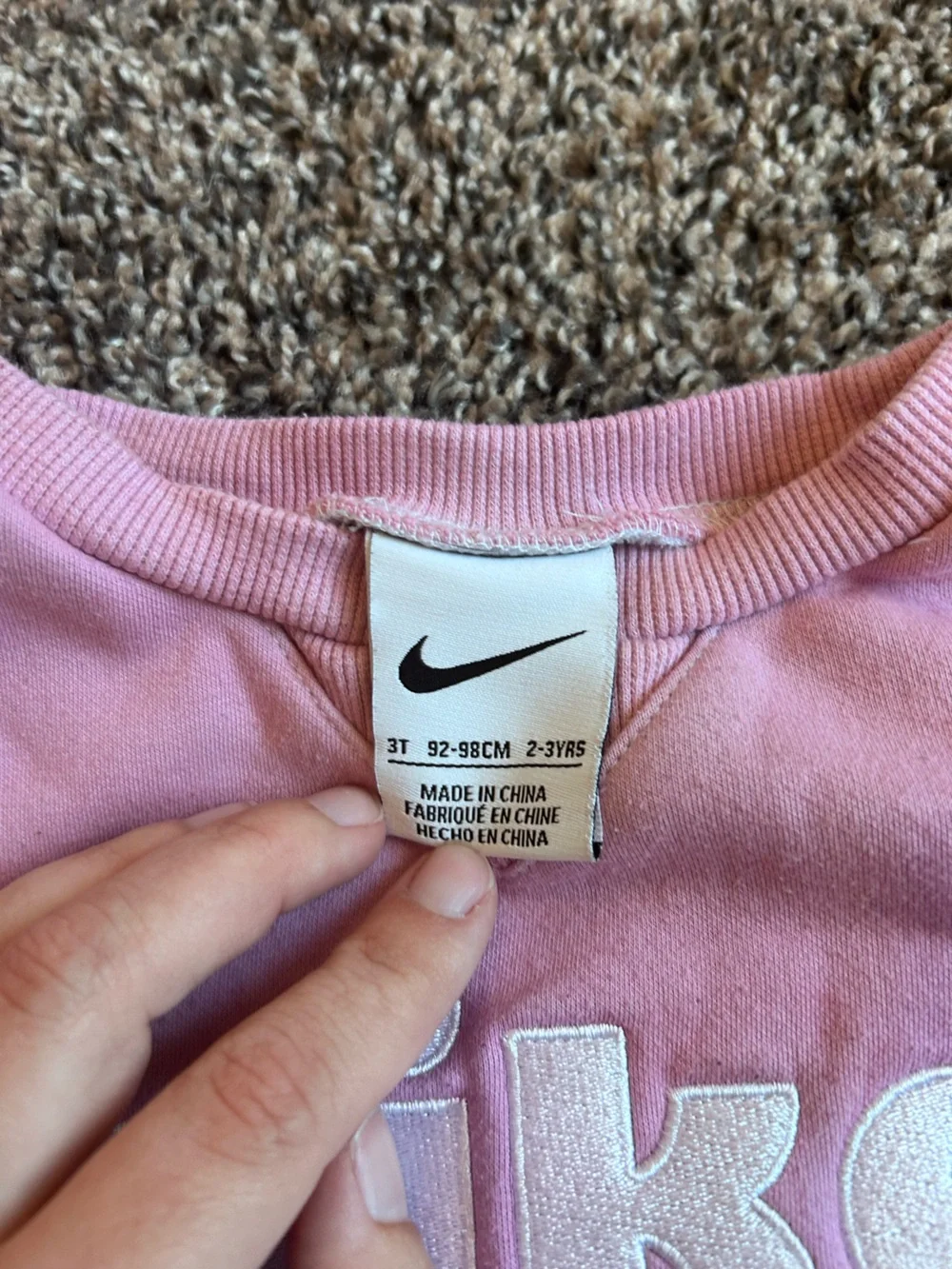 Nike Kids Pink Colorblock Crewneck Sweatshirt with Fleece Sleeves