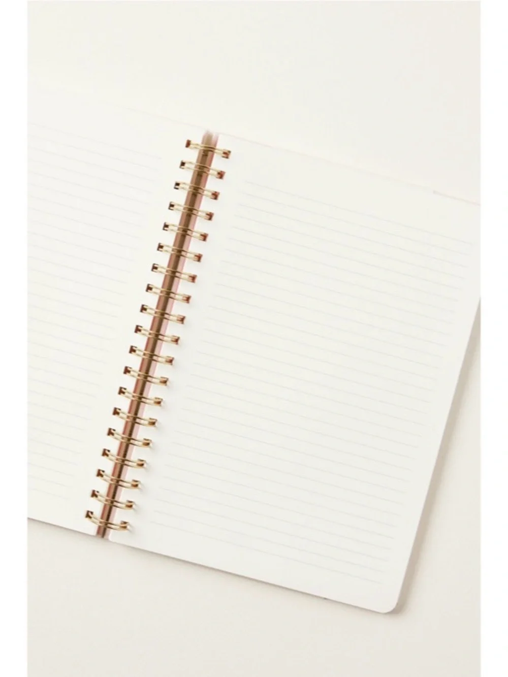 Anthropologie x Papier Spiral Lined Notebook
