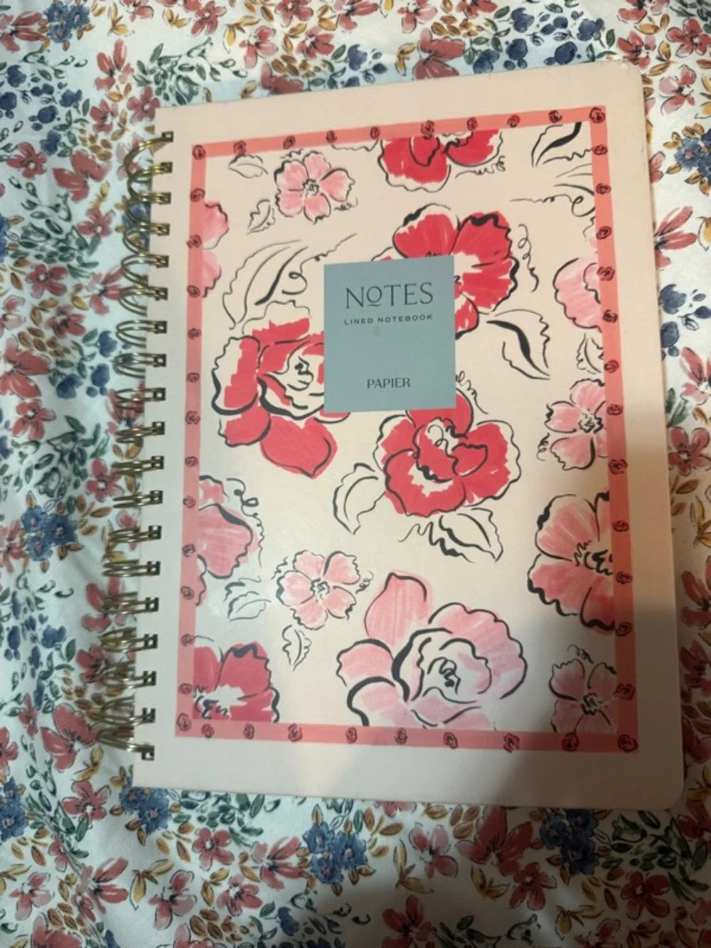 Anthropologie x Papier Spiral Lined Notebook