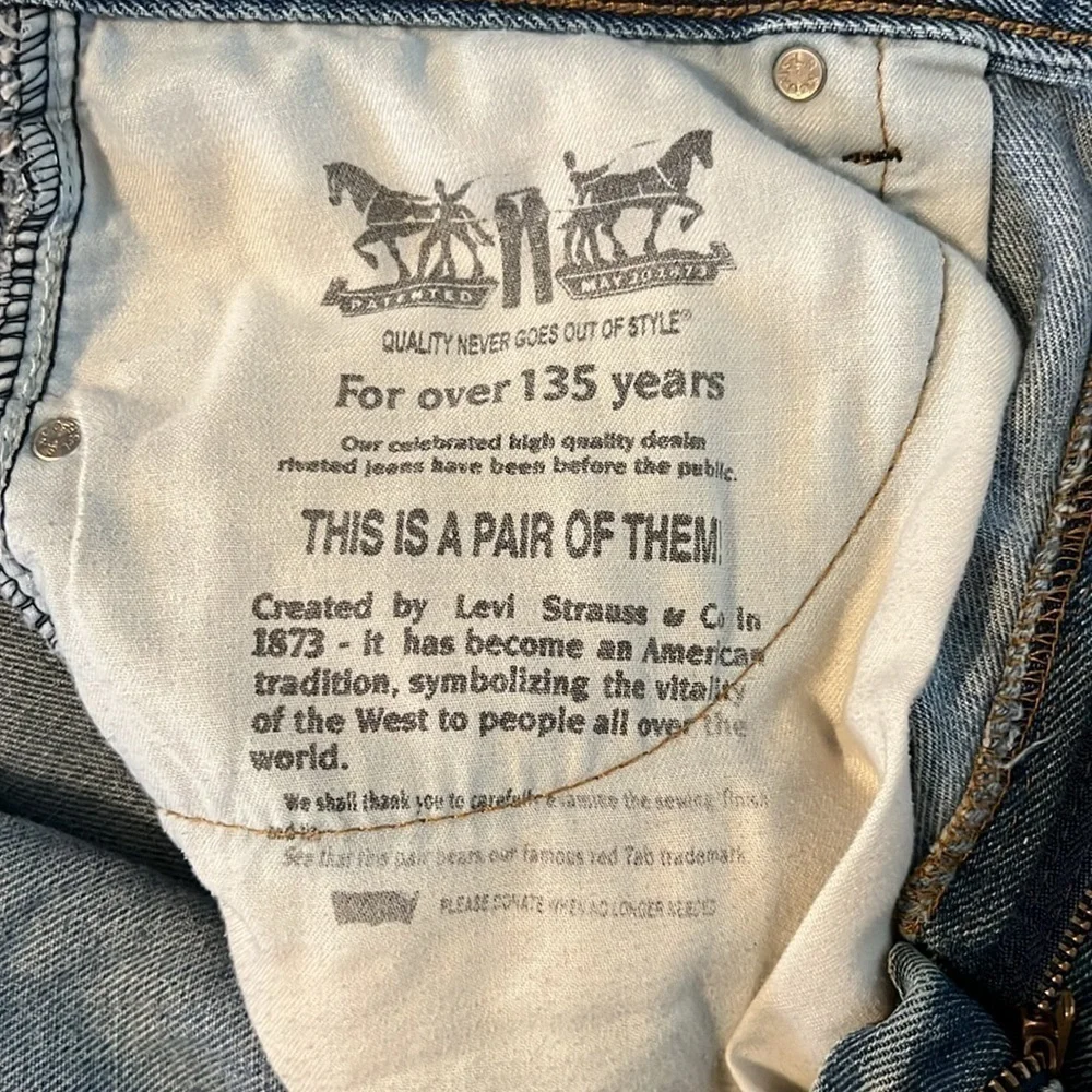 Levis levi strauss