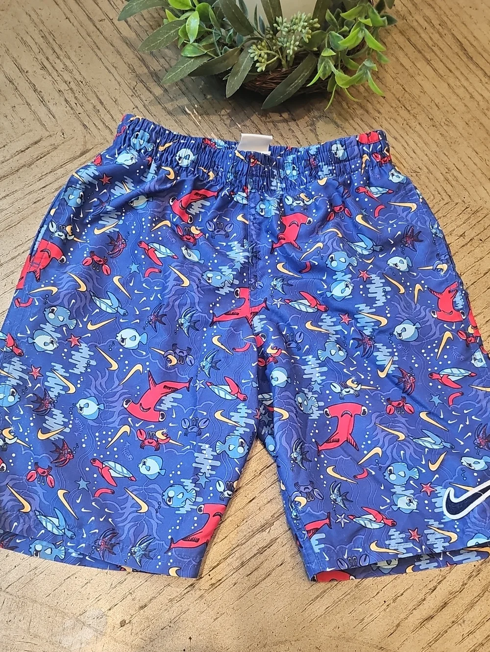 Nike swim trunks