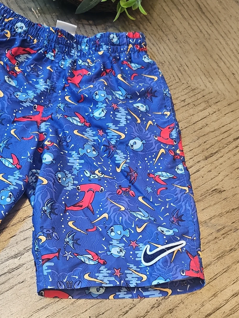 Nike swim trunks