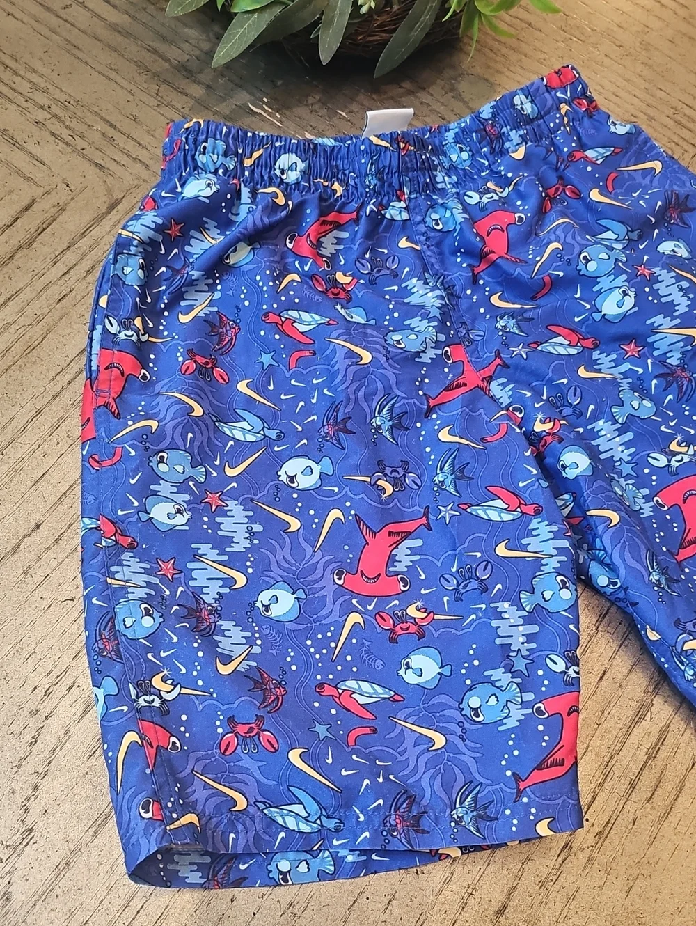 Nike swim trunks