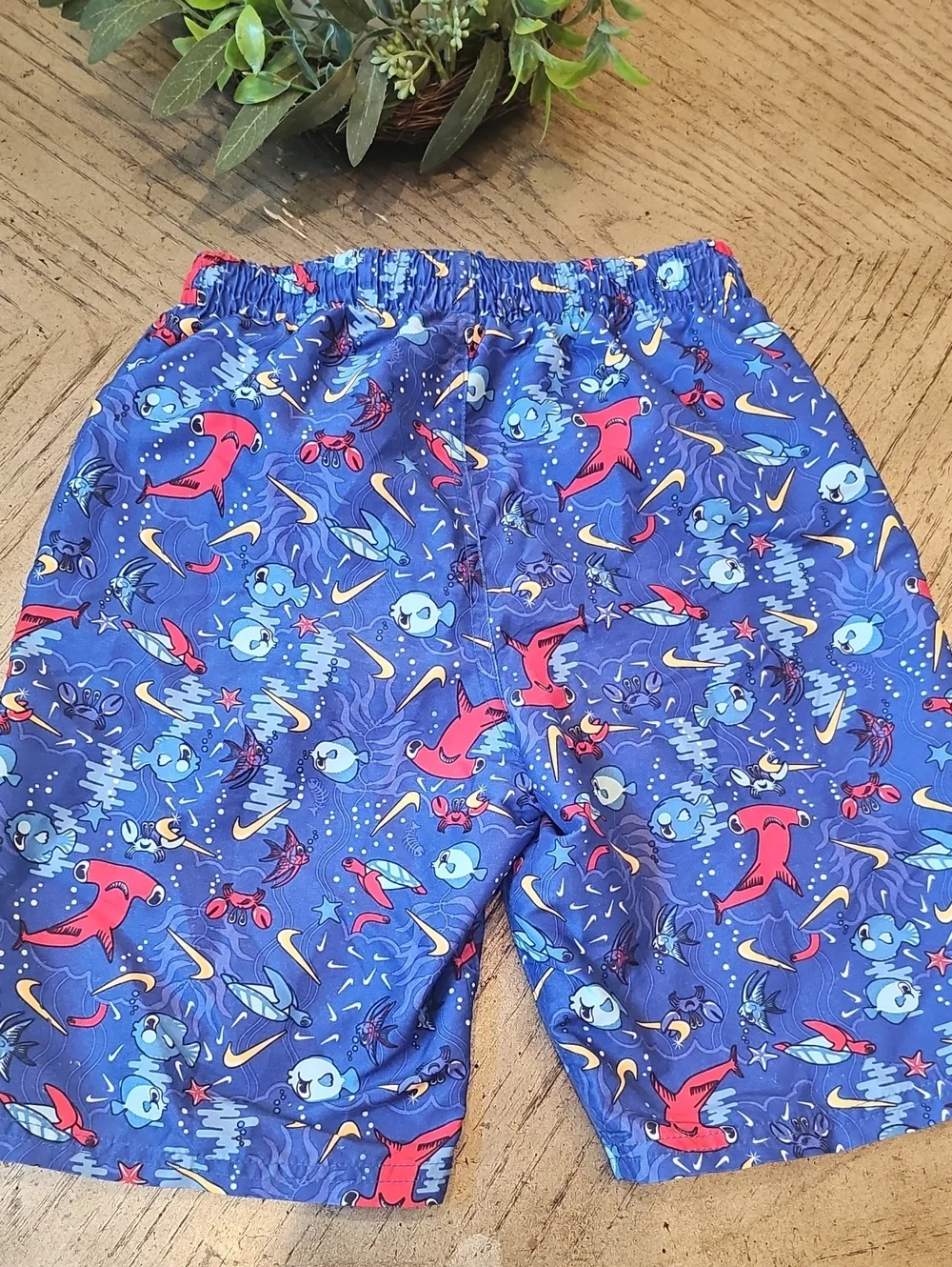 Nike swim trunks