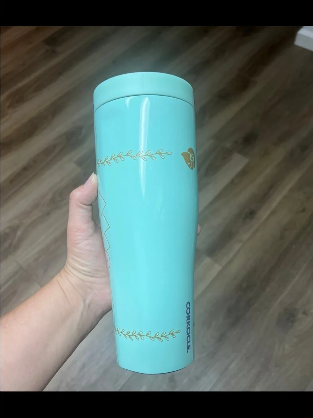 Disney themed travel