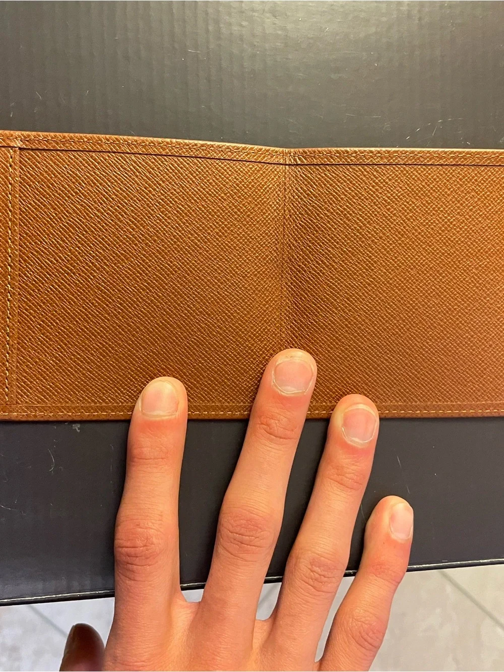 Louis Vuitton incredible great