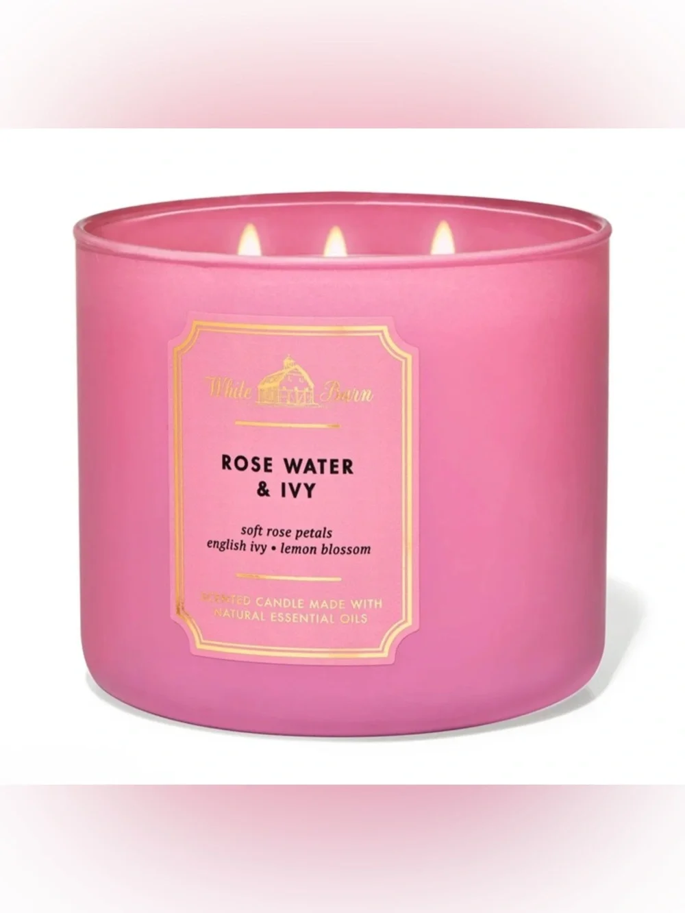 Bath Body Works Rose Water & Ivy 3-Wick Candle