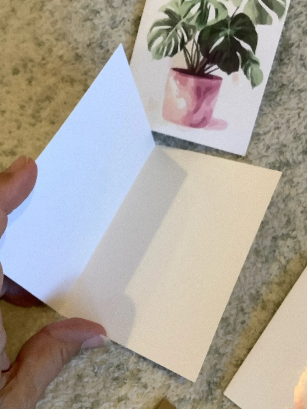 Artistic Creations adorable tropical