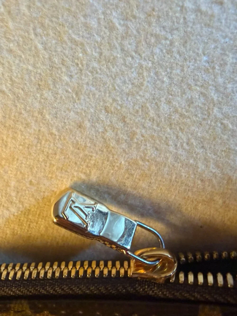 Louis Vuitton it sporty coated