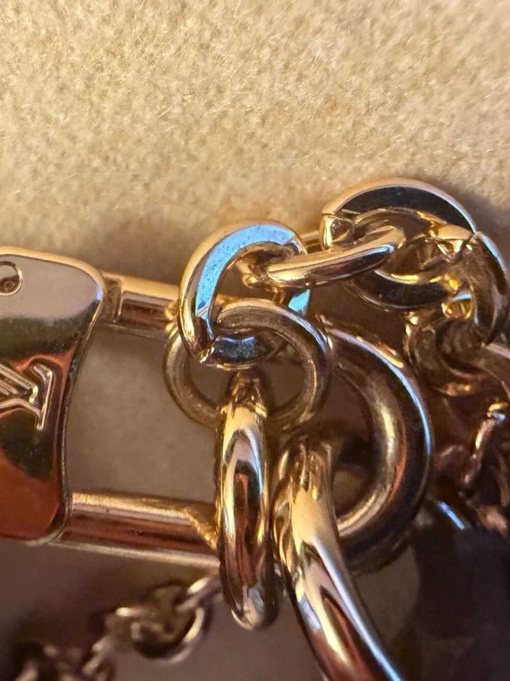 Louis Vuitton monogram signature multi