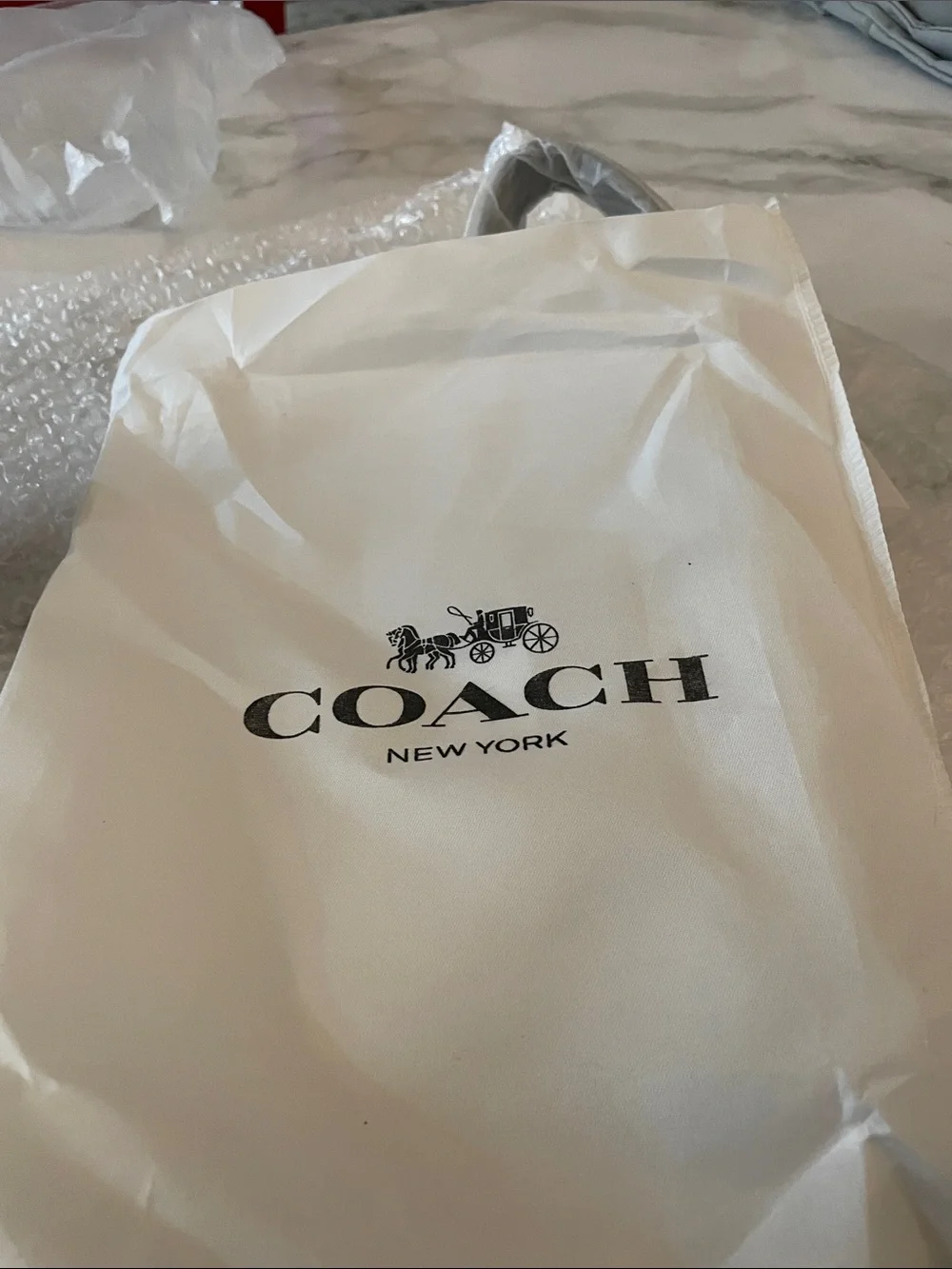 Coach/disney bag