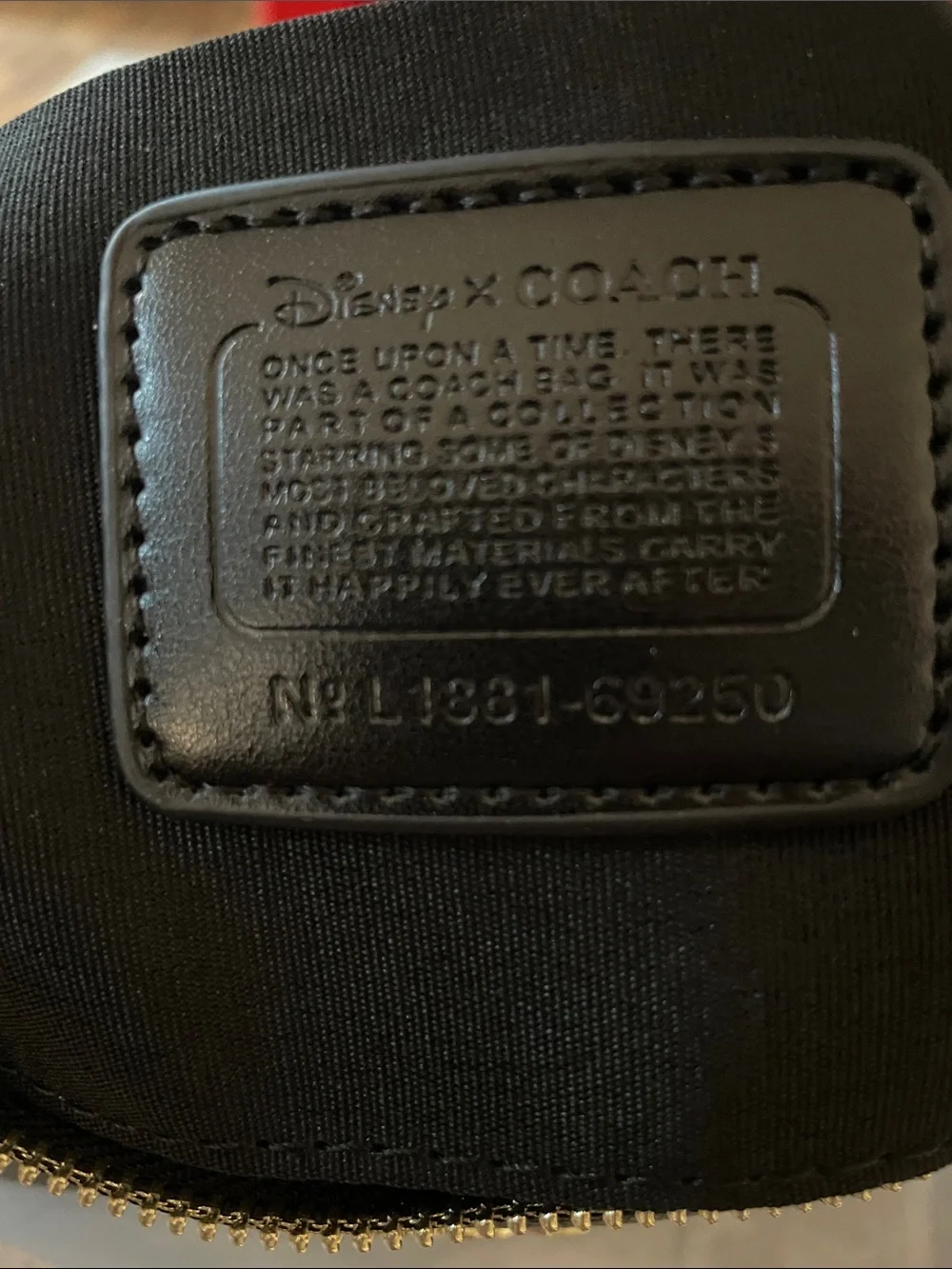 Coach/disney bag