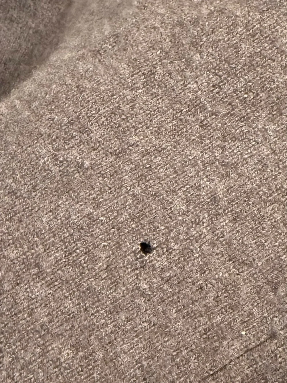 Banana Republic couple tiny