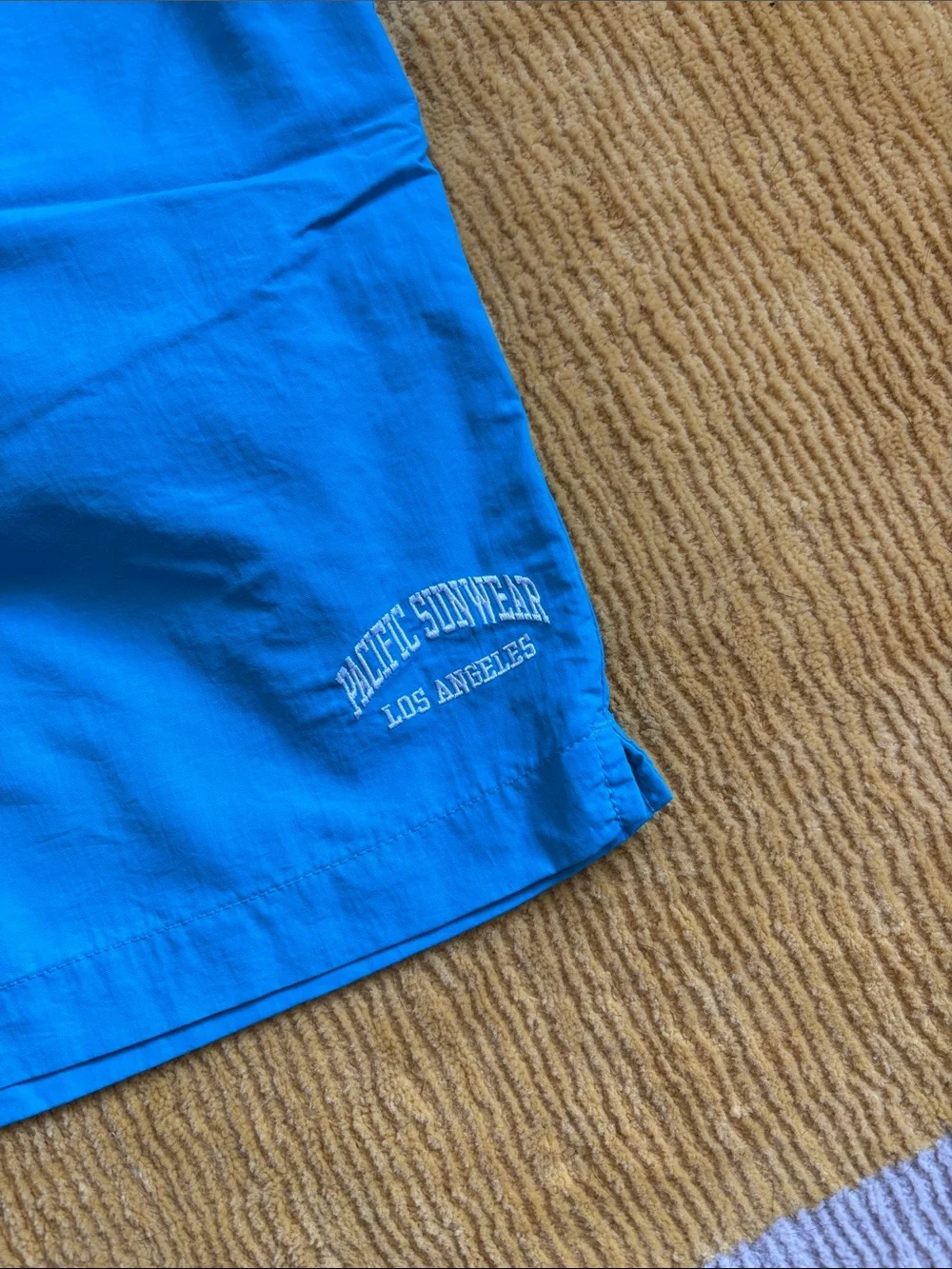 Pacsun Swim Shorts