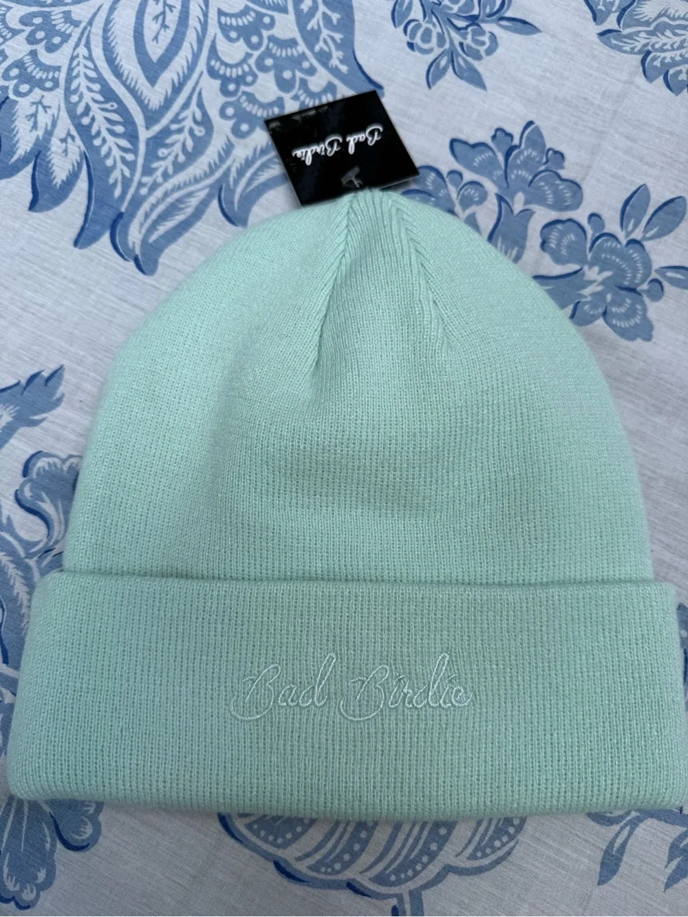 Bad Birdie Script Beanie Mint Green Cuffed Knit Hat BBH115-503-028 NEW