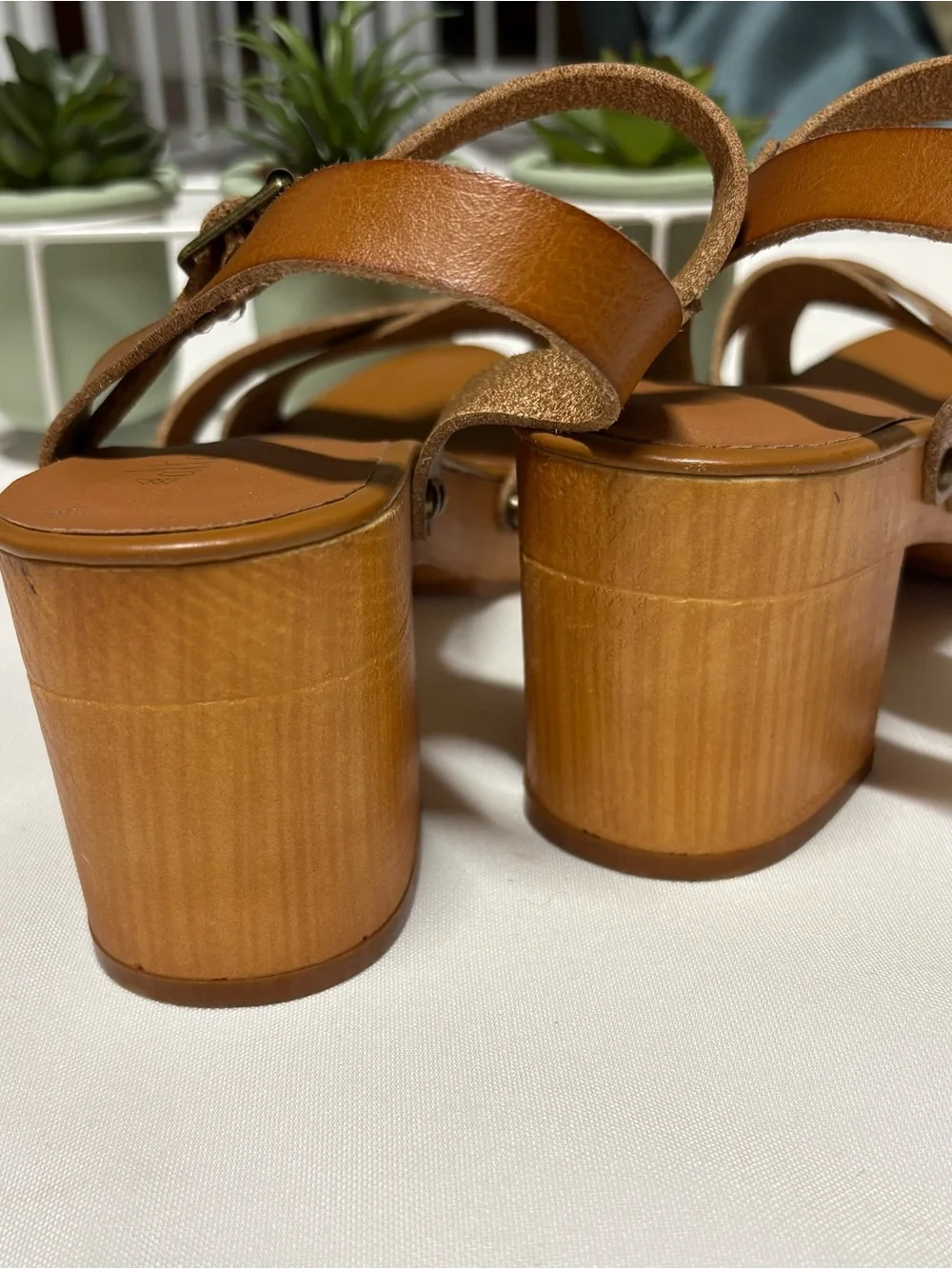 Altard State stylish cognac