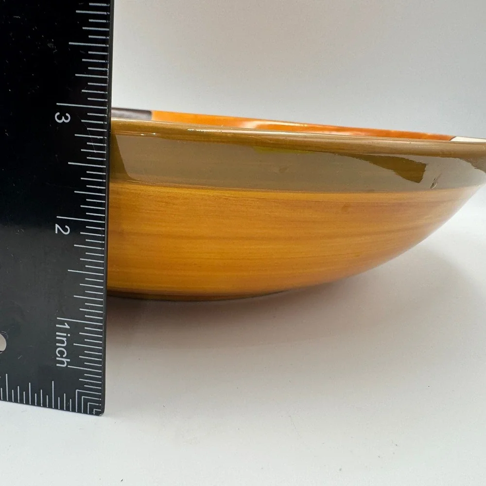 Pier 1 vibrant ceramic