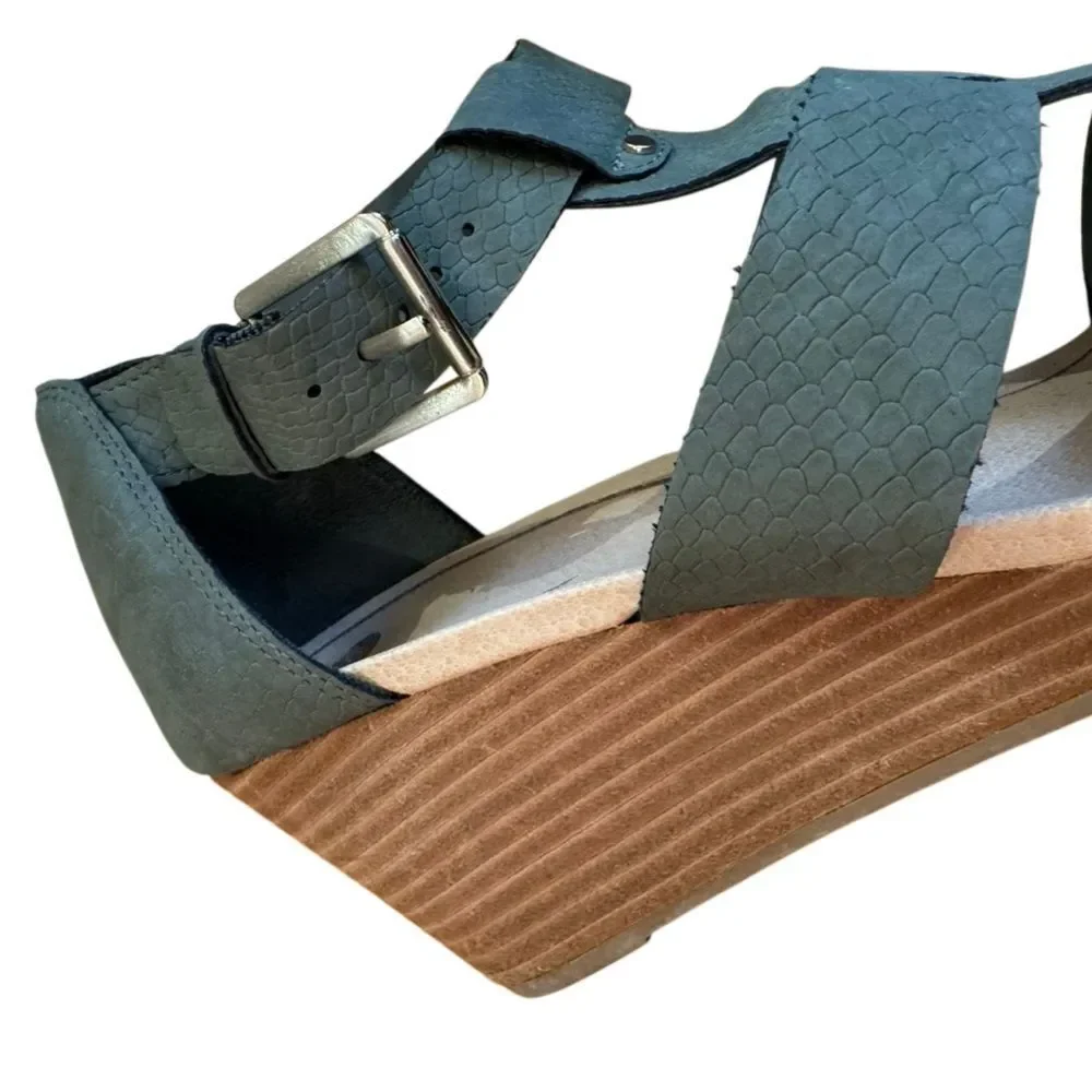 Dr. Scholls dr scholl