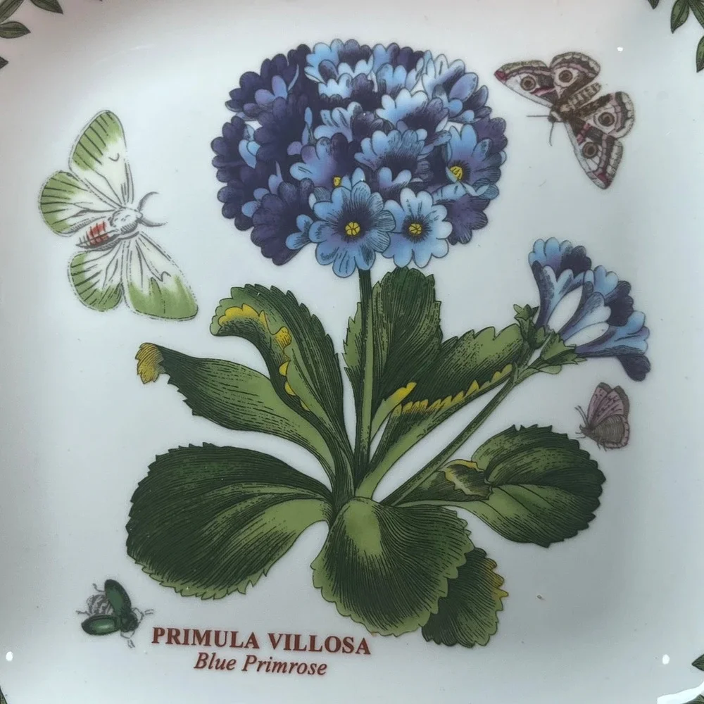 Portmeirion Botanic Garden Blue Primrose Canapé Square Dish Primula Villosa