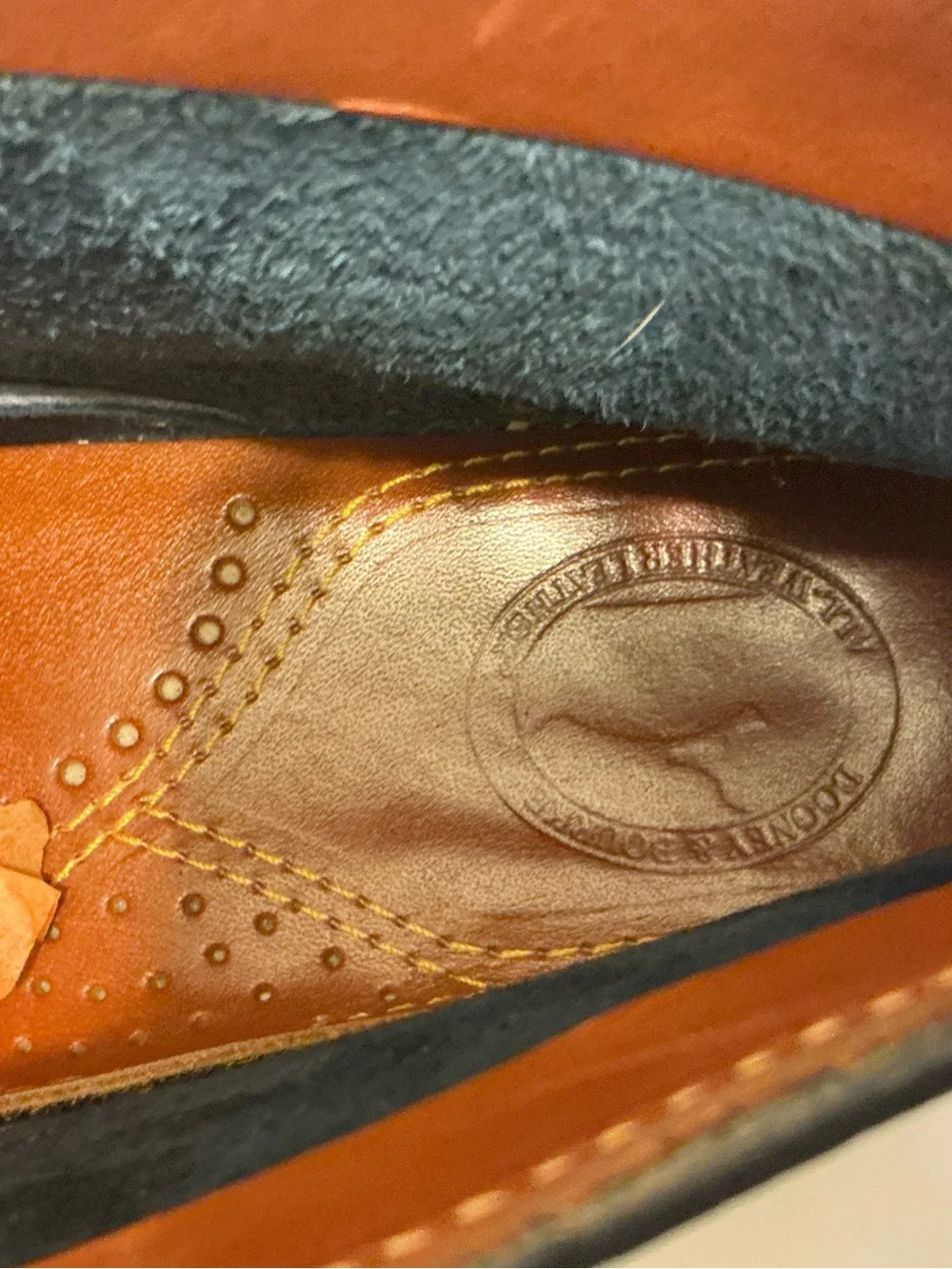Dooney & Bourke toe laces