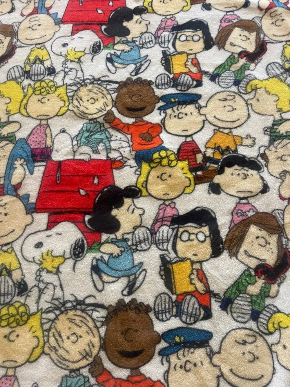 Peanuts bioworld charlie