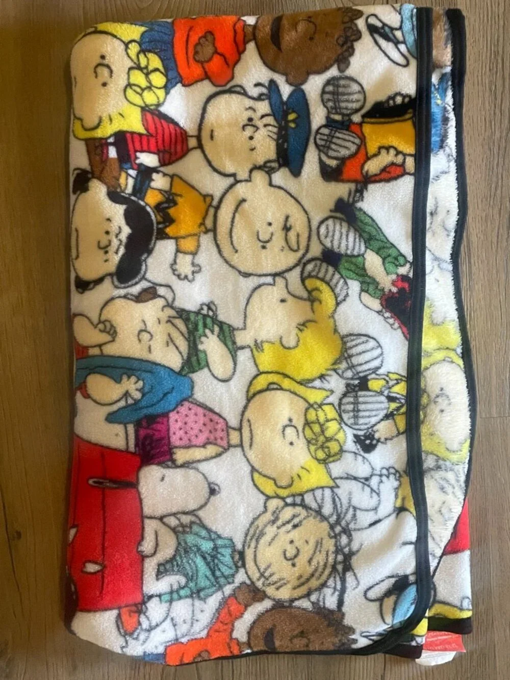 Peanuts Bioworld Charlie Brown Throw Blanket 55