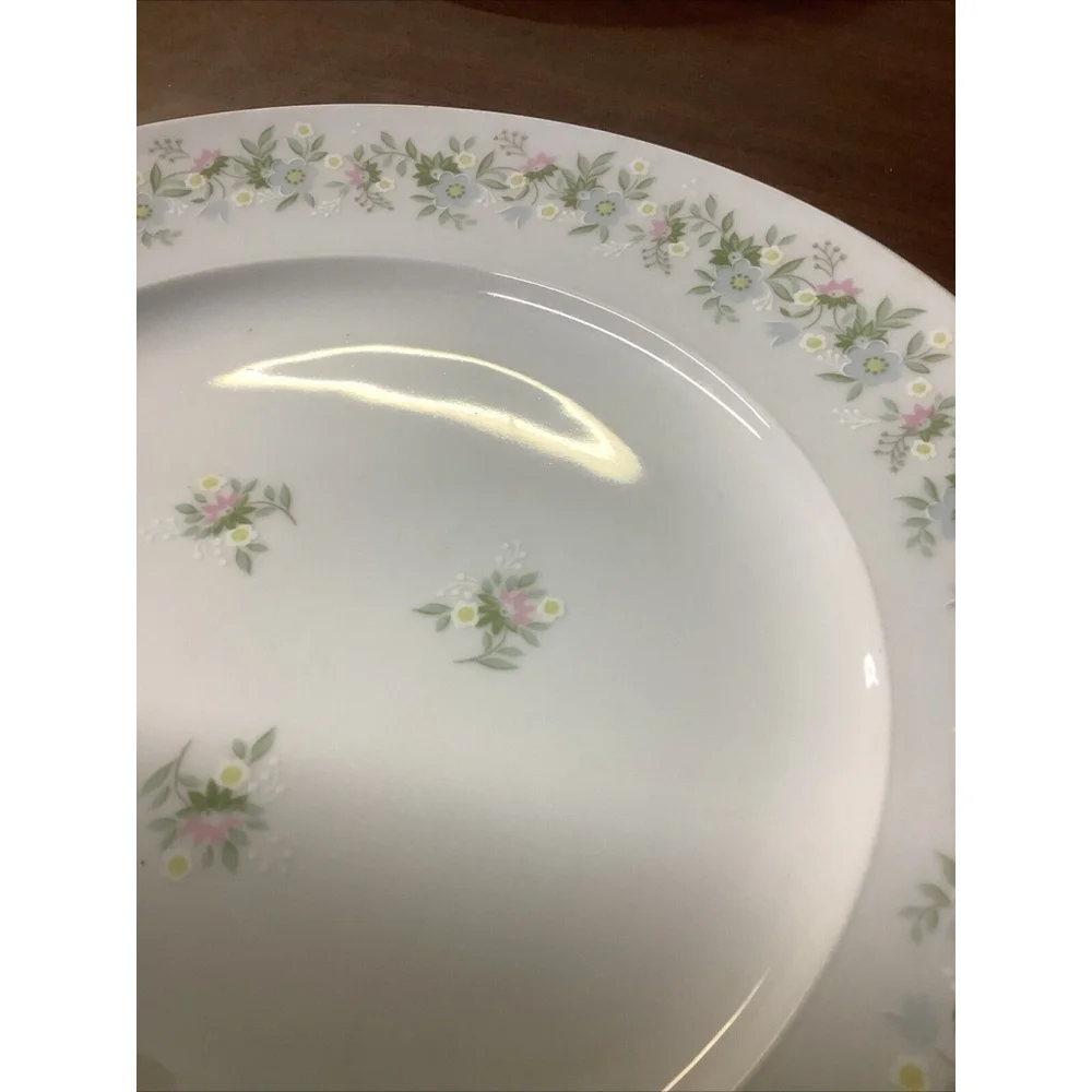 Johann Haviland Dinner Plate Bavaria Germany Forever Spring China 10