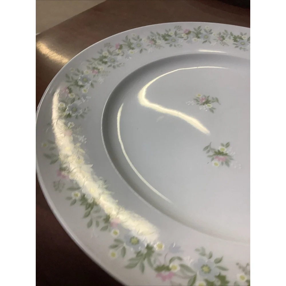 Johann Haviland Dinner Plate Bavaria Germany Forever Spring China 10