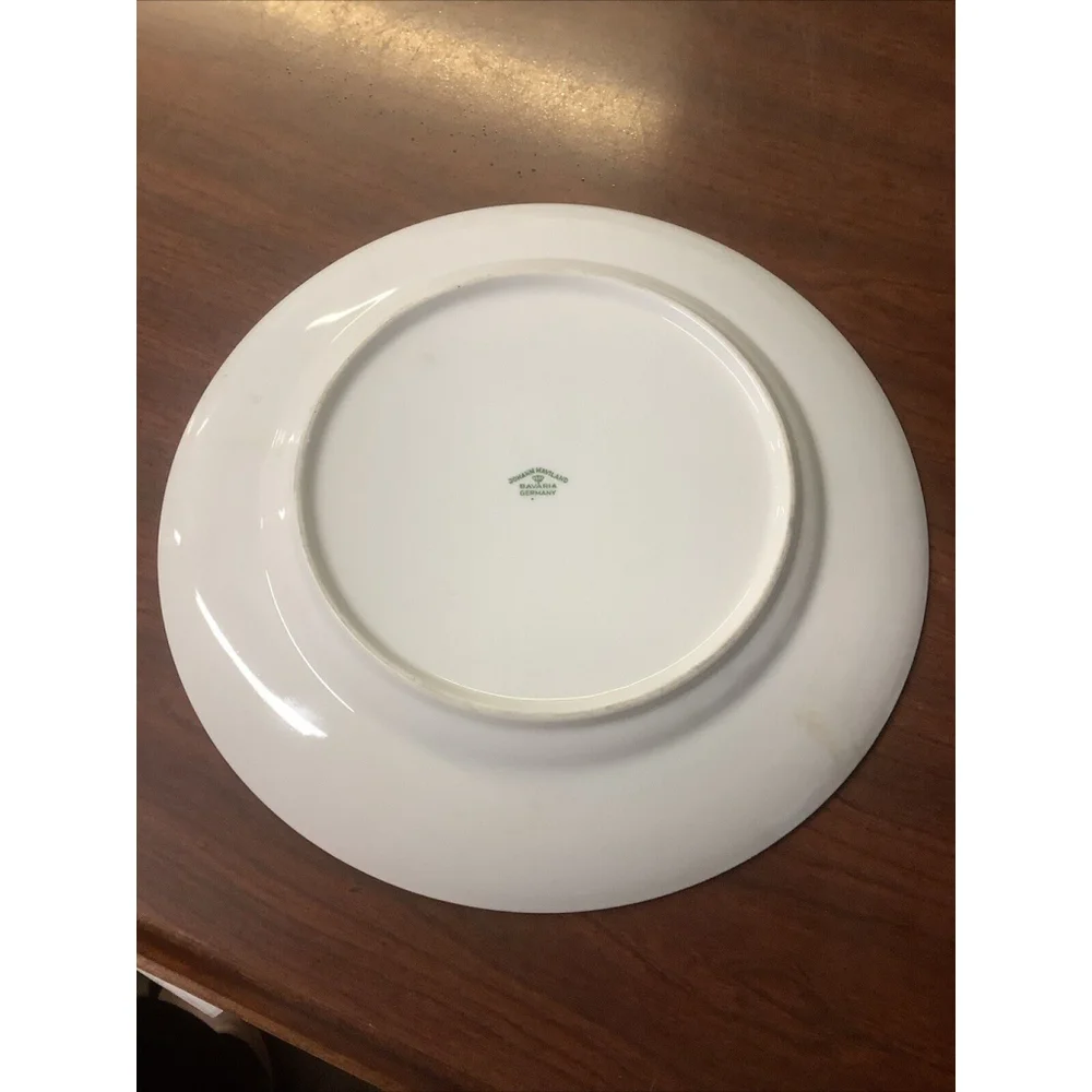 Johann Haviland Dinner Plate Bavaria Germany Forever Spring China 10