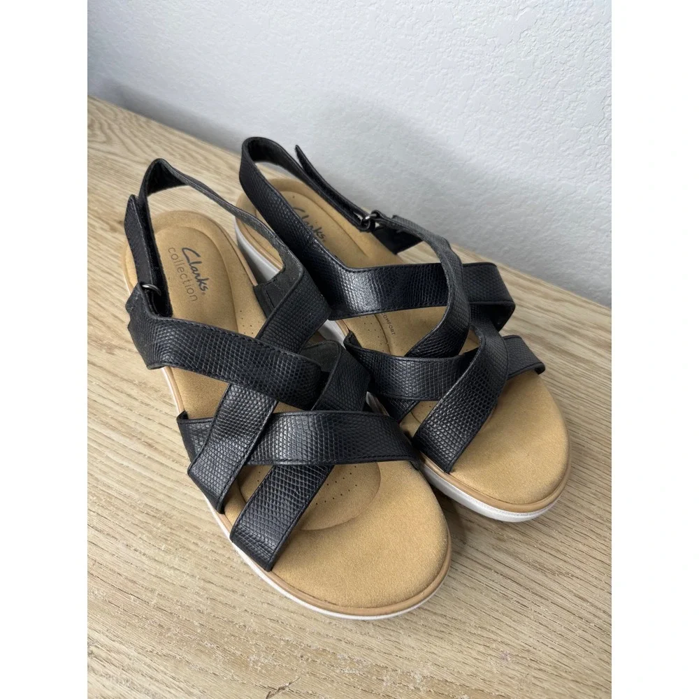 Clarks brand size