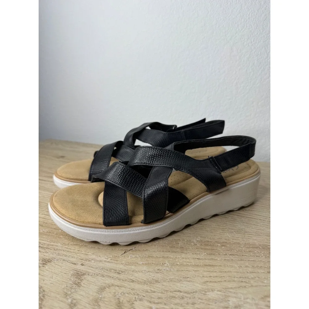 Clarks brand size