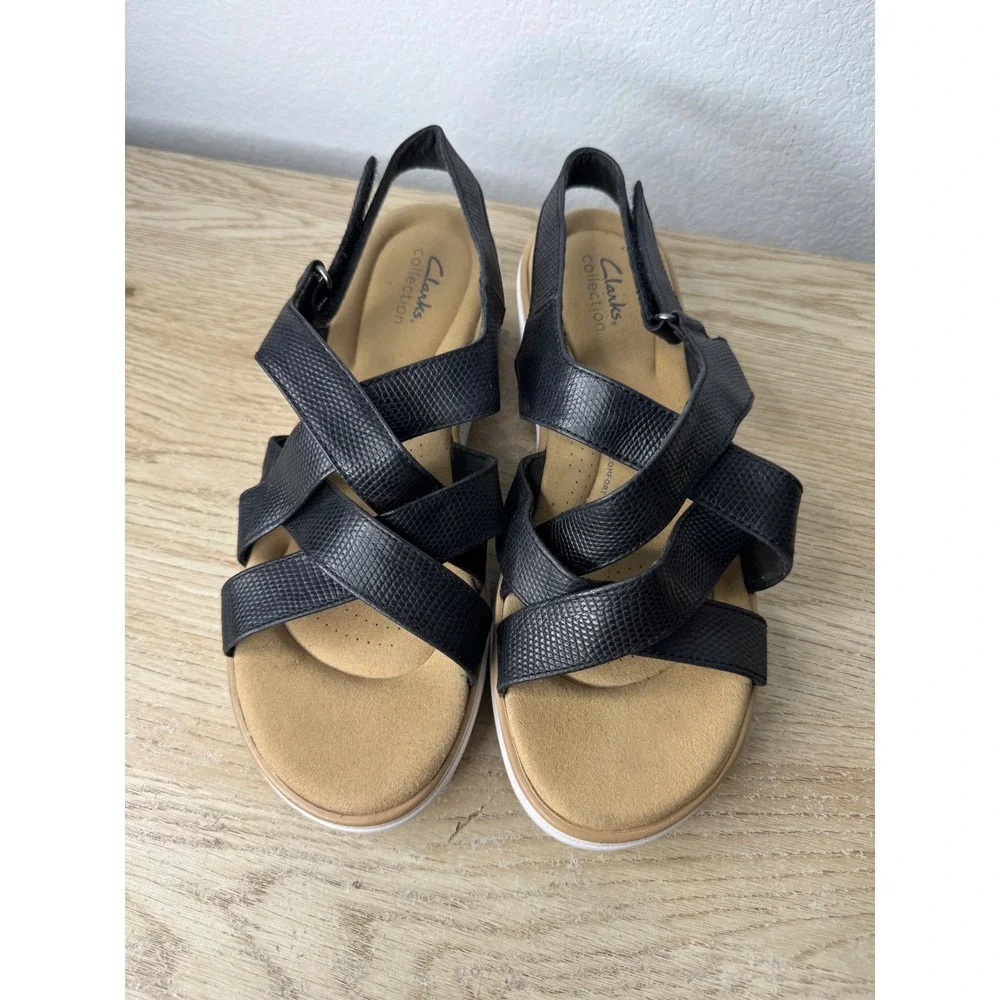 Clarks brand size