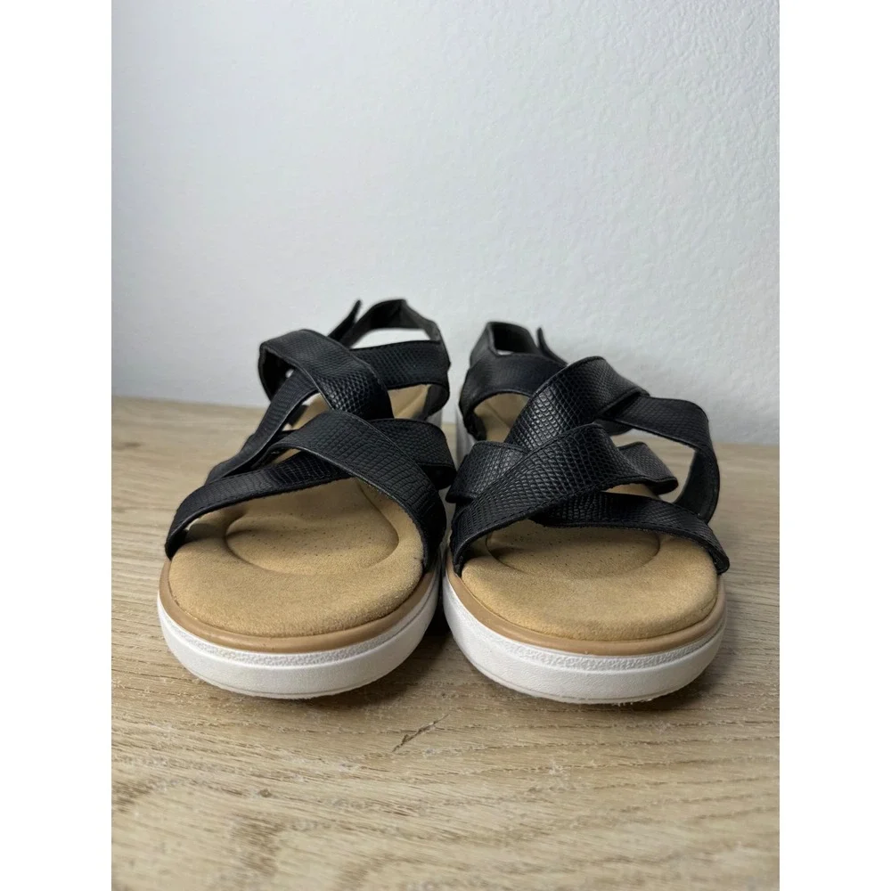 Clarks brand size