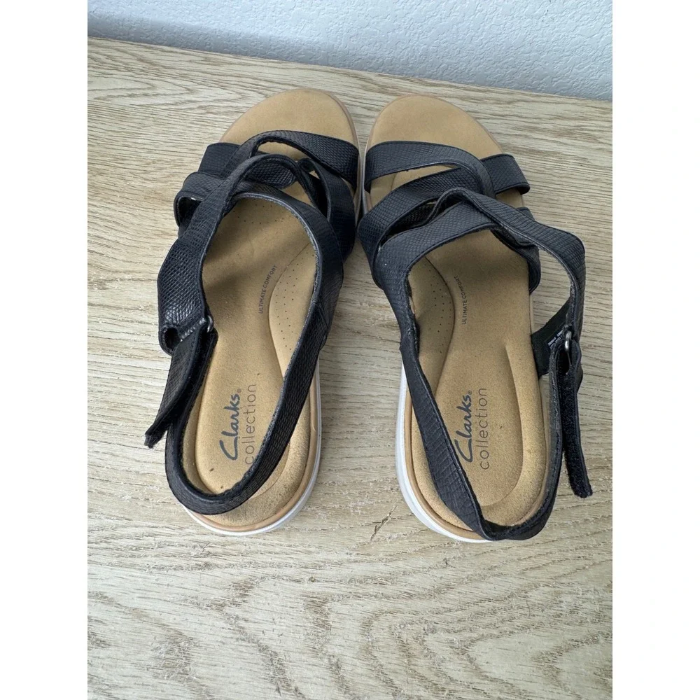 Clarks brand size