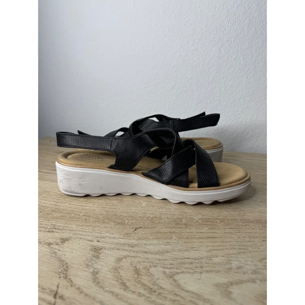 Clarks brand size