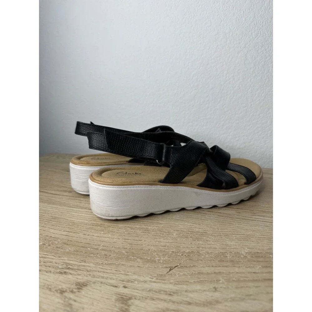 Clarks brand size