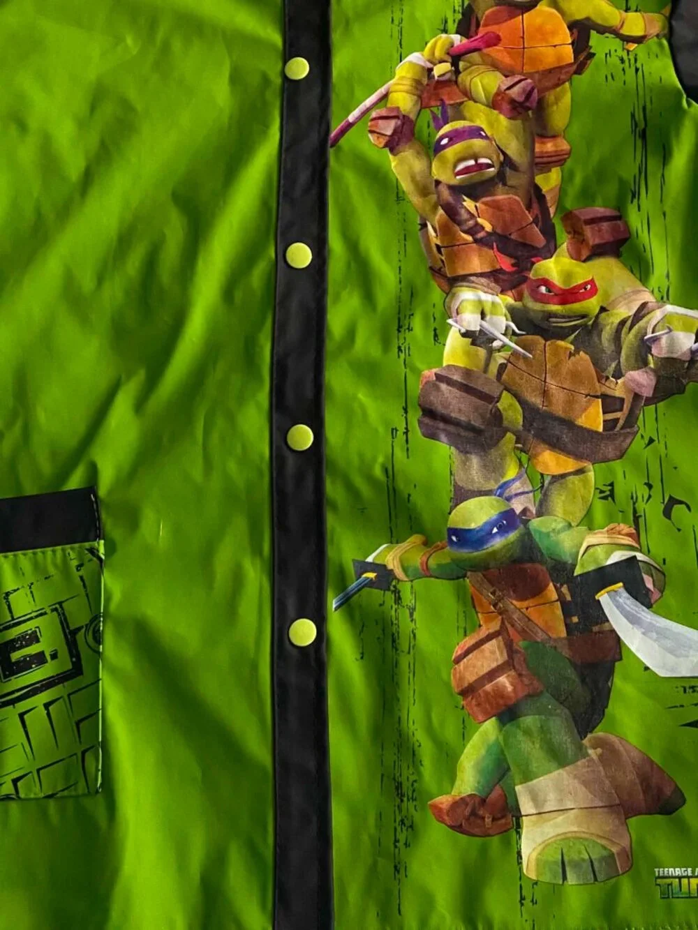 Nickelodeon teenage mutant