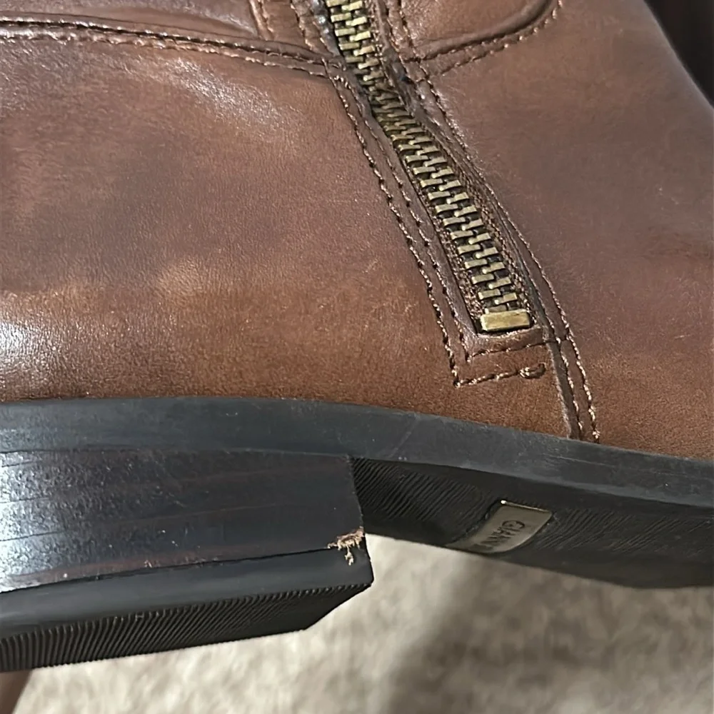 Gianni Bini gianni bini